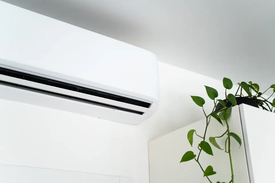 Weißes Innengerät einer Split-Klimaanlage unter der Decke, daneben eine Zimmerpflanze